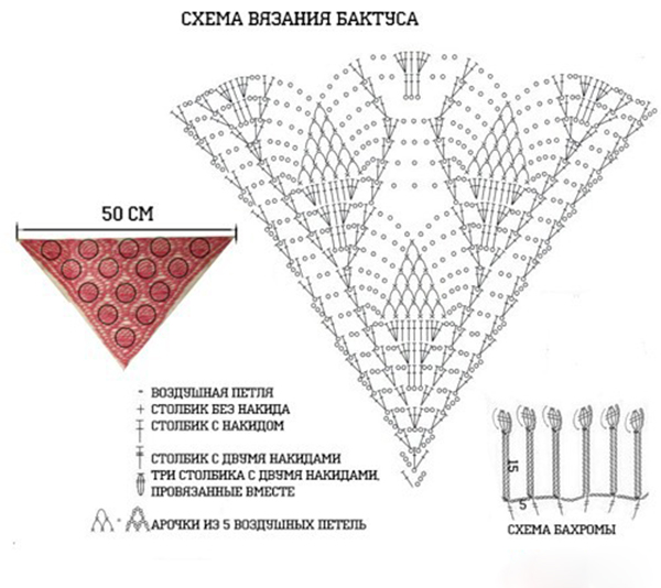 baktus-kryuchkom-skhema-i-opisanie-3