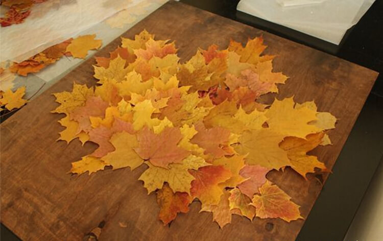 Интересные и красивые поделки из осенних листьев в садик и школу osennie podelki iz listev 6