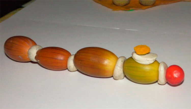 Гусеница из природного материала — различные варианты поделки с фото и описанием podelka gusenica iz prirodnogo materiala 27